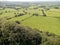 Looking down on field of cows