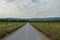 Looking Down Hyatt Lane In Cades Cove