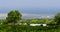 Looking down at Kona coffee plantation from Mamalahoa highway