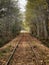 Looking down a long railroad track in spring