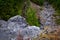 Looking down over Tongariro National Park from the side of Mangawhero River, forest stream flowing over rocky riverbed