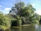 Looking down river with trees to the left