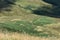 Looking down to eastern side of Burnt Horse ridge