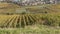 Looking down on the town of Beaune Burgundy vineyards