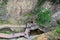 Looking down at visitors and band on bridge in canyon Botanical gardens Tbilisi Georgia