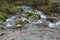 Looking downwards on the moorland stream