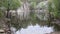 Looking into the flooded quarry