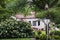 Looking through flowering bushes and trees at southwestern adobe style house with tiled roof in beautiful spring neighborhood with