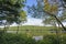 Looking at a Forested lake