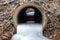 Looking into a frozen culvert