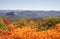 Looking Glass Rock