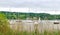 Looking through grasses at the boats on Lake Windermere