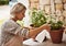 Looking after my plants. Cropped shot of a relaxed senior woman tending to her marijuana plants and making sure it& x27;s