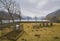 Looking from the old abandoned Kirk, or Church Graveyard to Loch Lee and beyond up Glen Esk in Winter.