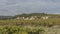 Looking out across the vineyards in the Southern Rhone Valley