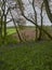 Looking out of the edge of Darroch Woods and its Bluebells onto the surrounding farmland.