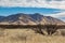 Looking out over an arid Arizona Desert landscape