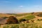 Looking out over a late summer South Downs landscape, with hawthorn trees laden with berries on the hillside