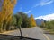 Looking out of the sunroof on a car driving down a straight road in the fall