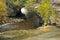 Looking Over The Crest Of Rockwood Falls