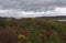 Looking over the tree line and across Loch Inver and the small Islands that dot the sea Loch, as it meets the Atlantic Ocean.