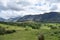 Looking over verdant fields to Whin Rigg, Lake District