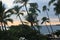 Looking at the Pacific Ocean through Palm trees at sunset at Kailua-Kona in Hawaii