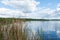 Looking through reeds into Lake Trafford, Florida