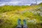 Looking at the rough nature in wild, while hiking in Iceland, summer, scenic view