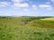 Looking to Pasture Dale Plantation, Yorkshire