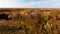 Looking at the top of the autumn colored trees when flying up. Opening scene