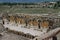 Looking towards the stage of the theatre, Hierapolis