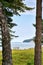 Looking through the trees at the wedding location on the Baltic Sea beach in Binz. Registry office on the island of RÃ¼gen.