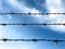 looking up at the blue sky through barbed wire