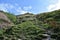 Looking up Golden Clough