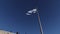 Looking Up At Israel Flag Blowing In Wind Near Western Wall In Slow Motion