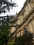 Looking up at this Oblique view of St Pauls Catheral dome surrounded with trees