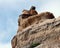 Looking up at a sandstone tower