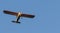 Looking up at small single prop plane with deep blue sky