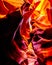 Looking up at the smooth curved Red Navajo Sandstone walls of the Upper Antelope Canyon