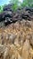 Looking up steep jagged rock face cliff mountain climbing geology formation