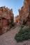 Looking Up To The High Spires of Hoodoos From The Bottom Of Bryce Canyon