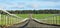 Looking up the training gallops on Newmarket Heath, Suffolk, UK