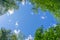 Looking up through the treetops. Beautiful natural frame of foliage against the sky. Copy space.Green leaves of a tree against the