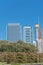 Looking up view of Downtown Chicago skylines under construction from city park