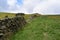 Looking up wall and hillside to Grindslow Knoll