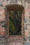 Looking through the window of a ruined castle on a tree