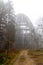 Lookout ball Treetop path in Bavarian Forest