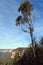 A lookout in the Blue Mountains of New South Wales