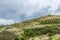 lookout steps on Bruny island neck nature reserve